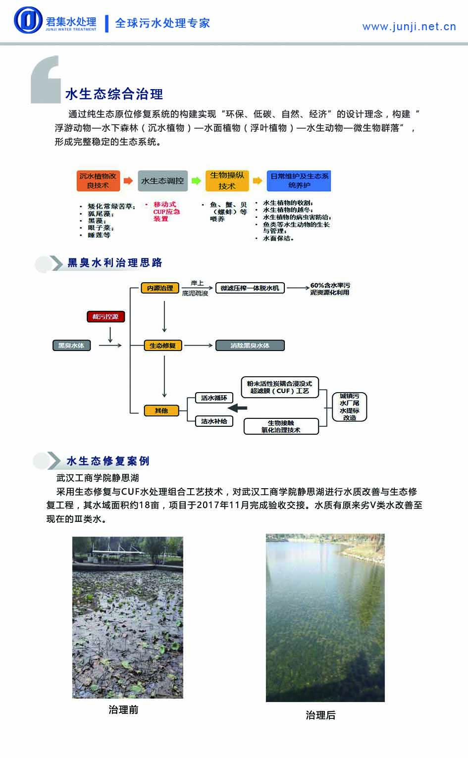 水生态综合治理技术.jpg